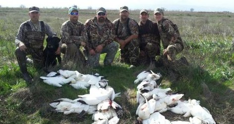 Hunters with Their Birds